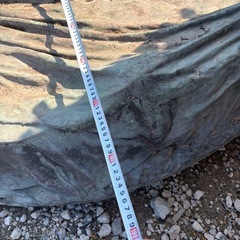 芸術品 銅馬 の画像