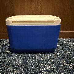 コールマン・ミニクーラーボックスの画像