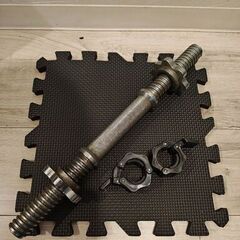 ダンベルシャフトとプレート 5kg 4枚セット (3)の画像