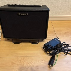 Roland ローランド　AC-33 アンプ　ストリート　ライブ