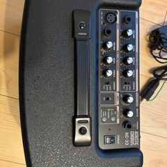 Roland ローランド　AC-33 アンプ　ストリート　ライブの画像
