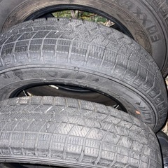 145/80r13 ウィンターマックス03の画像