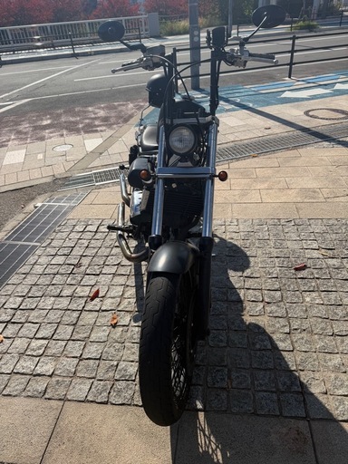 Vツインマグナ250