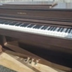 YAMAHA Clavinova SCLP-545M の画像