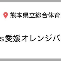 熊本ヴォルターズ 自由席 2枚 (PayPay払い歓迎)の画像