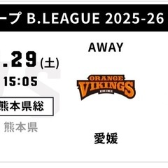 熊本ヴォルターズ 自由席 2枚 (PayPay払い歓迎)の画像