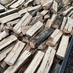 ナラ薪未乾燥、1台価格5000円、台数限りありますの画像