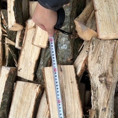 ナラ薪未乾燥、1台価格5000円、台数限りありますの画像