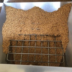 【新米】ひとめぼれ / 令和7年 山梨県産　10kg①の画像