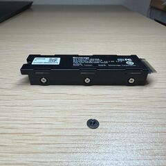 Nextorage NEM-PA1TB M.2 1TB SSD ヒートシンク一体型 PS5対応 (化粧箱なし)の画像