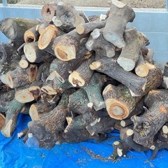 暖炉　薪ストーブ　キャンプ 広葉樹薪　原木　の画像