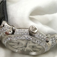 限定ベルサーチフランクミュラーコラボの画像