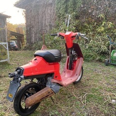 ヤマハ50の画像