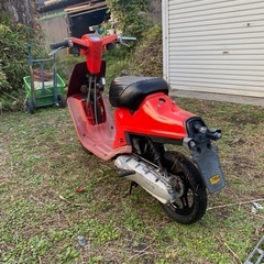 ヤマハ50の画像