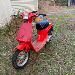 ヤマハ50の画像