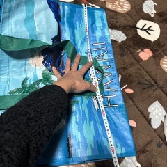 コストコバックの画像