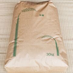 ②令和7年度産　コシヒカリ玄米　30kg