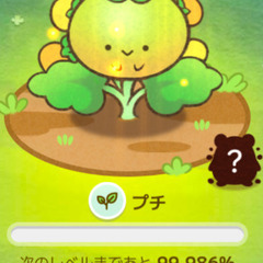 カウシェ仲間募集中