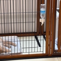 Richell ペット用 木製3WAYサークル 6面90Hの画像