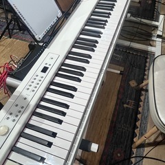 【KORG 電子ピアノD1人気のホワイト】