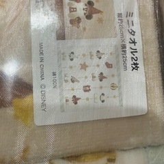 【No, 】 ディズニー リゾート ミニタオル2枚セット プレゼント用の画像