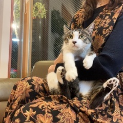 人を癒してくれる優しいベルくんです。