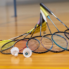 🔰初心者歓迎🔰バドミントンしませんか？🏸✨ 