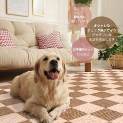 新品　ラグ 洗える 約1畳 90х150cm オールシーズン適用 北欧風の画像