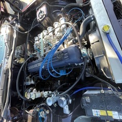 ローレル　ブタケツグリル　ガメラの画像