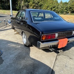 ローレル　ブタケツグリル　ガメラの画像