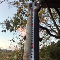 鎮圧ローラー タイヤローラー トラクター パーツ 牽引 整地 麦踏 中古 の画像