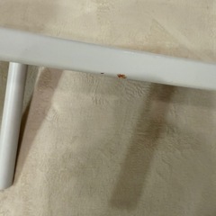 【きまりました】ニトリ　そら豆テーブル　ホワイトの画像