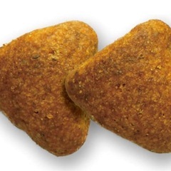 ゴールデンレトリバー専用ドッグフード
の画像