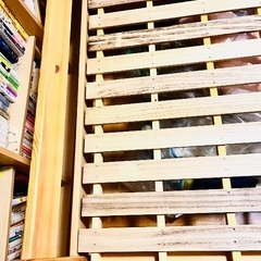 無印良品シングルベッド　2台の画像