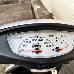 29. ライブディオ 全国配送OK
の画像