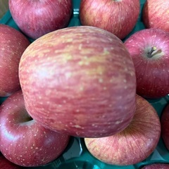 決定‼️産地直送🍎フジ青森りんご🍎の画像
