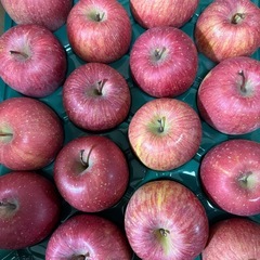 決定‼️産地直送🍎フジ青森りんご🍎の画像