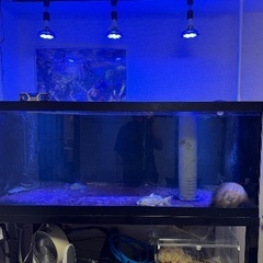 150×75×60OF水槽set 今月中12万の画像