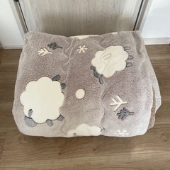 こたつ＆こたつ布団の画像