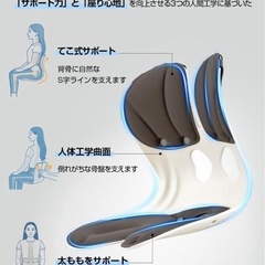 【新品未開封】整体師・理学療法士推薦　Tillmulya 姿勢矯正 椅子の画像