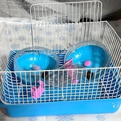 ハムスター ケージ サークル 小動物の画像