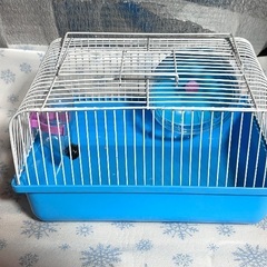ハムスター ケージ サークル 小動物の画像