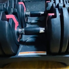 ダイヤル可変型ダンベル 2.5kg-24kg(15段階)Wild Fitの画像