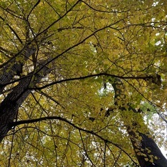 明日11/27(木)山登りに行ける方募集❣️ - 大阪市