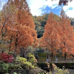 明日11/27(木)山登りに行ける方募集❣️