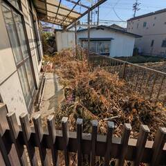 写真部分のくさやツタを撤去して砕石をまける方ご連絡ください