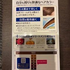 ダリヤ:髪染め液 ナチュラルブラウンの画像