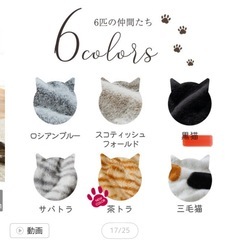 【12月のどこかで親族に譲るかもしれないのでお早めにどうぞ】　セミダブルセット品　敷きパッドとボックスシーツ　ニッセン　まるで猫　猫feel 黒猫　敷きパッド　コットン100% ブラック　ボックスシーツ　の画像