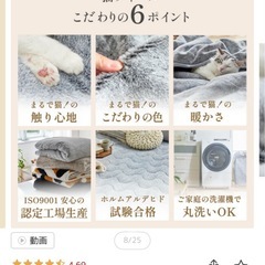 【12月のどこかで親族に譲るかもしれないのでお早めにどうぞ】　セミダブルセット品　敷きパッドとボックスシーツ　ニッセン　まるで猫　猫feel 黒猫　敷きパッド　コットン100% ブラック　ボックスシーツ　の画像