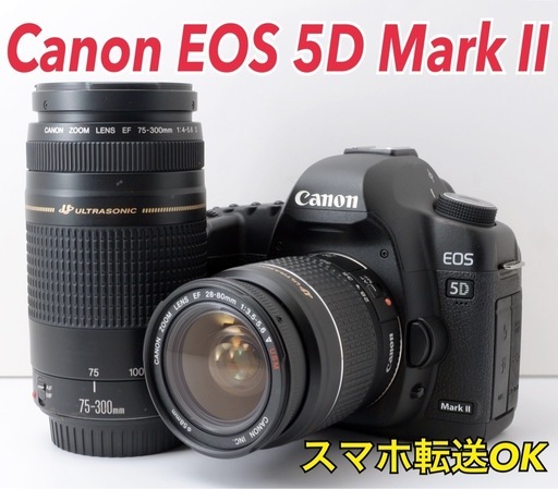 S数約28000回！Canon EOS 5D Mark Ⅱ★転送OK★フルサイズ  1ヶ月動作補償あり！ 安心のゆうパック代引き発送！ 送料、代引き手数料無料！